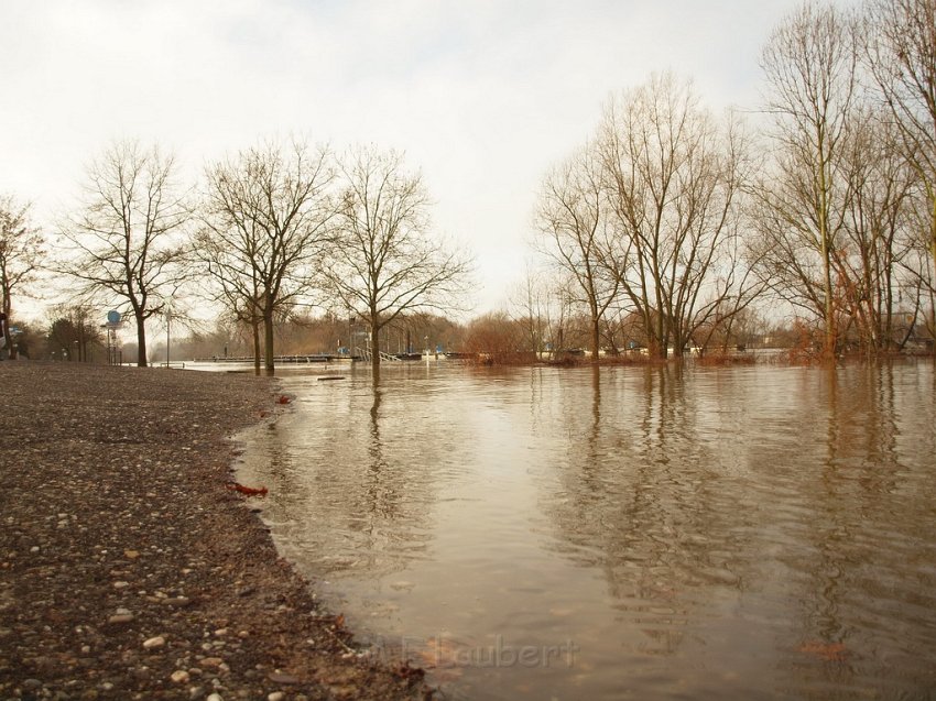 Hochwasser Koeln 2011 Tag 3 P033.JPG